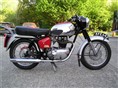 Crusader 250